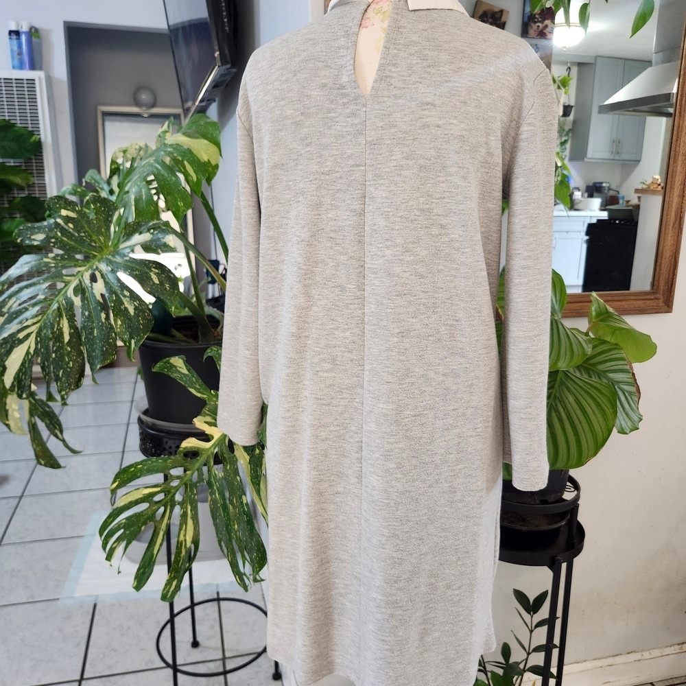 Zara Light Gray Midi Shift Dress with White Mock Collar - Picture 4 of 6